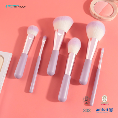 Kosmetischer Bürsten-Satz 6PCS Mini Gift Makeup Brush Set mit dem zwei Farbsynthetischen Haar