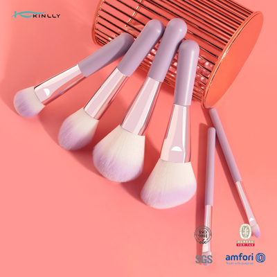 Kosmetischer Bürsten-Satz 6PCS Mini Gift Makeup Brush Set mit dem zwei Farbsynthetischen Haar