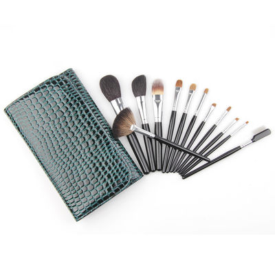 kosmetisches Bürsten-Satz-grundlegendes Make-up Kit For Beginners des Make-up12pcs