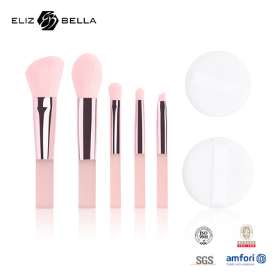 5 Stück süße Reise Make-up Pinsel Kits mit klarem Druck PVC Verpackungskiste OEM