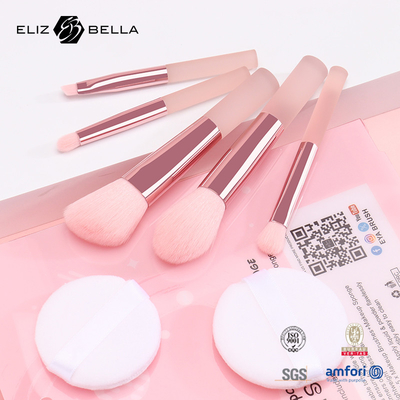 5 Stück süße Reise Make-up Pinsel Kits mit klarem Druck PVC Verpackungskiste OEM