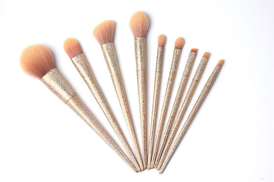 Bürsten-Geschenk des Make-up9pcs stellte Kunststoffgriff-Verpackungsgestaltung sind annehmbar ein
