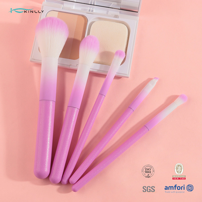 Bunter kosmetischer Bürsten-Satz des Make-up5pcs mit rosa Kunststoffgriff