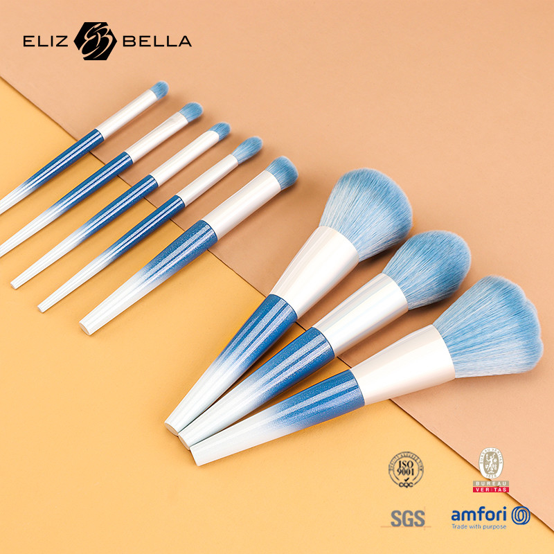 10 Stück Schönheitsbedürfnisse Kunststoffgriff Reise Make-up Pinsel Set mit synthetischem Haar, OEM-Bestellungen sind willkommen