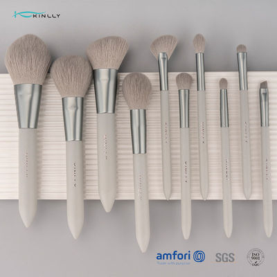 MAKE-UPbürsten-Satz Soems 10PCS Nano-Luxusfür Gesicht