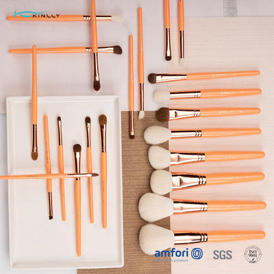 Make-upbürsten des Holzgriff-22pcs mit dem natürlichem Haar und Holzgriff