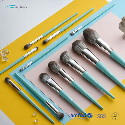 synthetische Make-upbürste des Haar-12pcs
