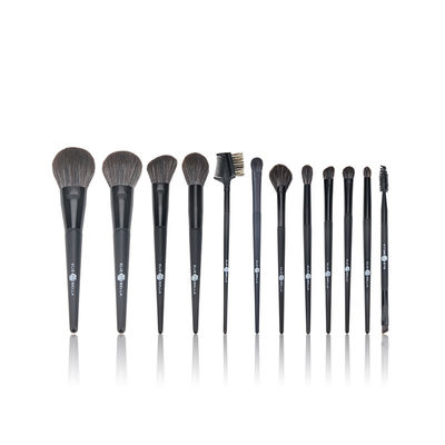 Synthetisches Schwarz-Make-upbürsten-Satz-Kosmetik-Schönheits-Werkzeug des Haar-12PCS